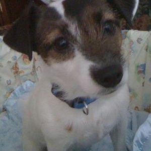 Meet your Posher, Teresa